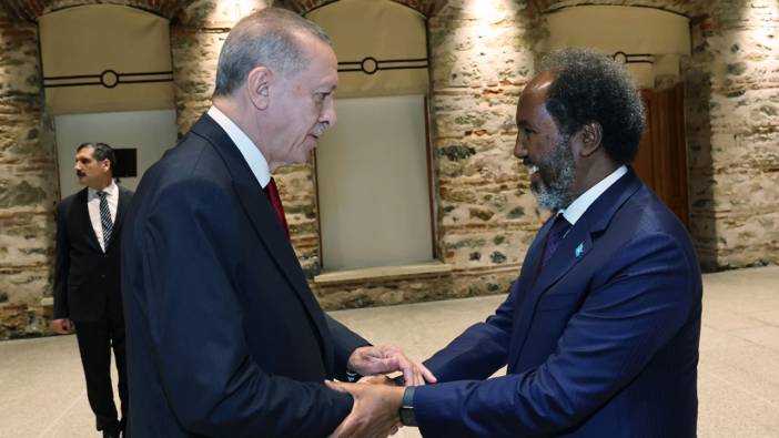 Cumhurbaşkanı Erdoğan, Somalili mevkidaşı Hasan Şeyh Mahmud ile görüştü