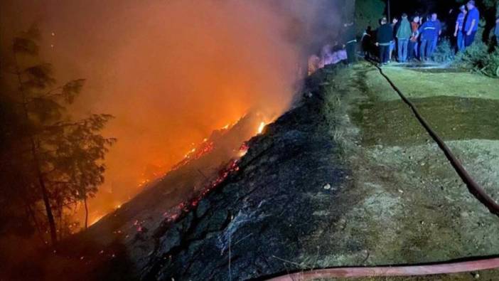 Muğla'da çıkan yangında yarım hektar ormanlık alan zarar gördü