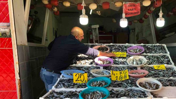 Hamside kampanya yaptı: 18 kiloluk hamsi kasasını 250 TL'den satışa çıkardı