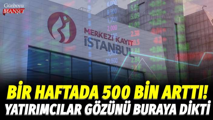 Bir haftada 500 bin arttı! Yatırımcılar gözünü buraya dikti