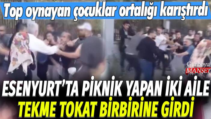 Esenyurt'ta piknik yapan iki aile tekme tokat birbirine girdi: Top oynayan çocuklar ortalığı karıştırdı