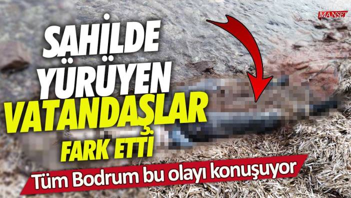 Tüm Bodrum bu olayı konuşuyor! Sahilde yürüyen vatandaşlar fark etti