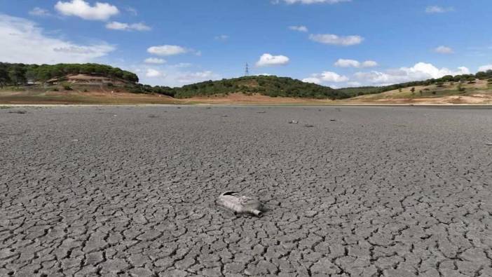 İstanbul için tehlike çanları çalıyor! 40 günlük su kaldı