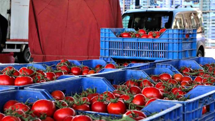 Antalya’da domates miktarı azaldı, sebze miktarı arttı