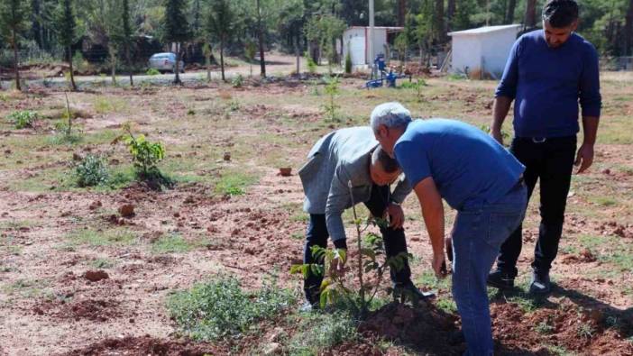 Kavaklıdere’de Ceviz ve Badem deneme bahçesi