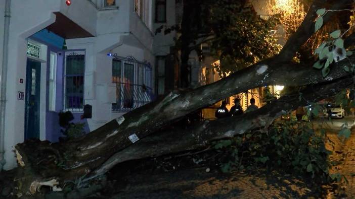 Üsküdar'da ağaç evin bahçe duvarına devrildi