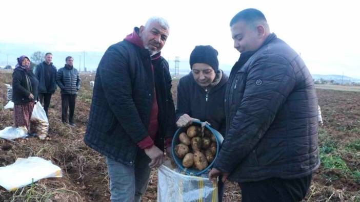 İkinci dönem ekimi yapılan patateste hasat döneminin sonuna gelindi