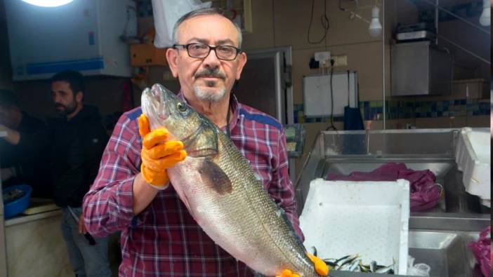 Sinop'ta yakalanan 5 kiloluk levrek fiyatıyla göz kamaştırdı