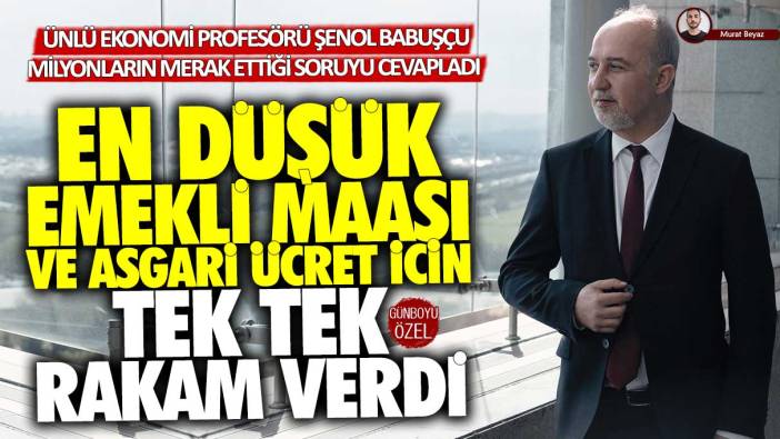 En düşük emekli maaş ve asgari ücret için tek tek rakam verdi! Ekonomi profesörü Şenol Babuşçu milyonların merak ettiği soruyu Günboyu Gazetesi'ne cevapladı