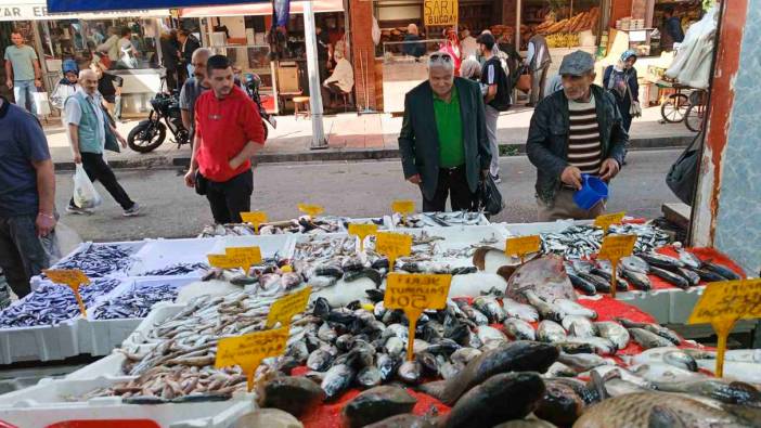 Bollaşan hamsinin fiyatı ucuzladı