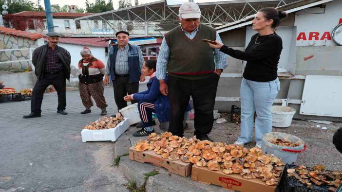 Kuraklığa rağmen Çıntar bolluğu