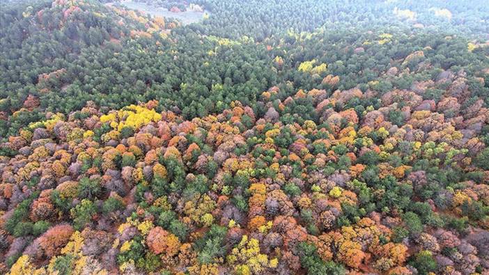 Balıkesir'in 1764 rakımlı Ulus Dağı'ndaki sonbahar renkleri dronla görüntülendi