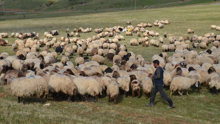 Havanın soğumasıyla göçerlerin dönüş yolculuğu sürüyor