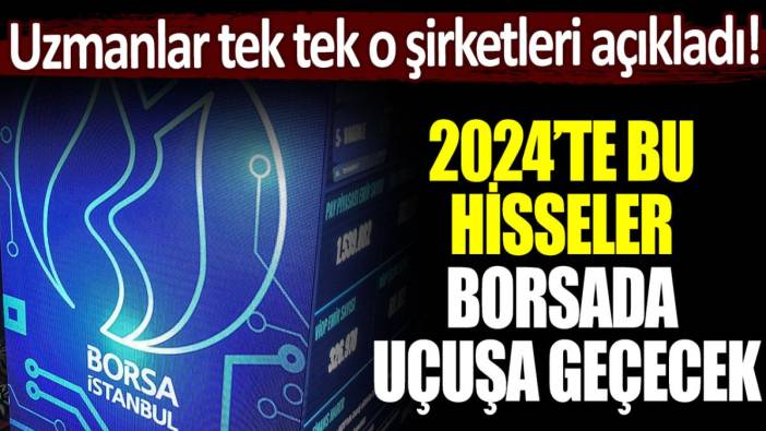 Uzmanlar borsa yatırımcısını uyardı: 2024'te bu hisseler uçuşa geçecek!
