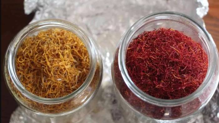 1 dönümden 1 kilo çıkıyor! İşte dünyanın en pahalı baharatı