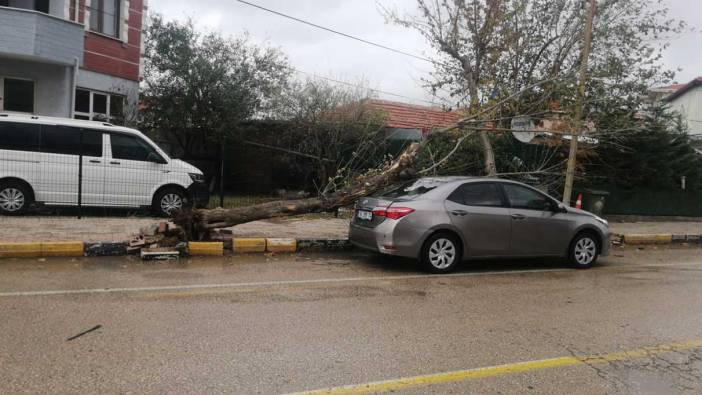 Keşan'da şiddetli rüzgar nedeniyle otomobilin üzerine ağaç devrildi