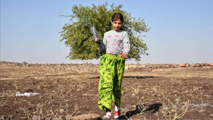 THY'den Şanlıurfa'ya 90 bin meyve fidanı