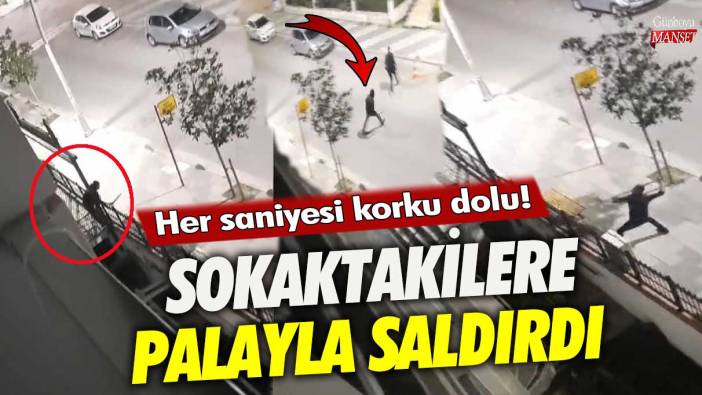 Büyükçekmece'de sokaktakilere palayla saldırdı! Her saniyesi korku dolu