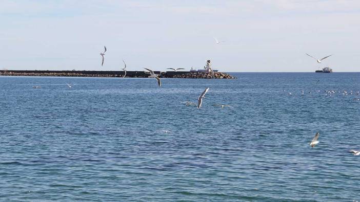 Tekirdağ'da deniz ulaşımı normale döndü