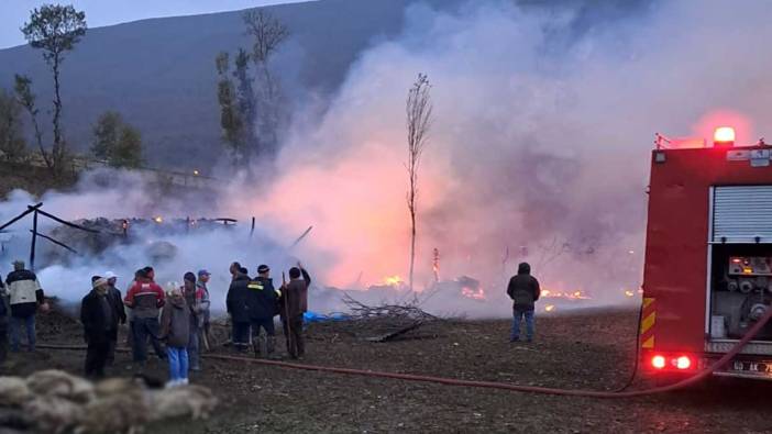 Tokat'ta çıkan yangında 50 koyun telef oldu