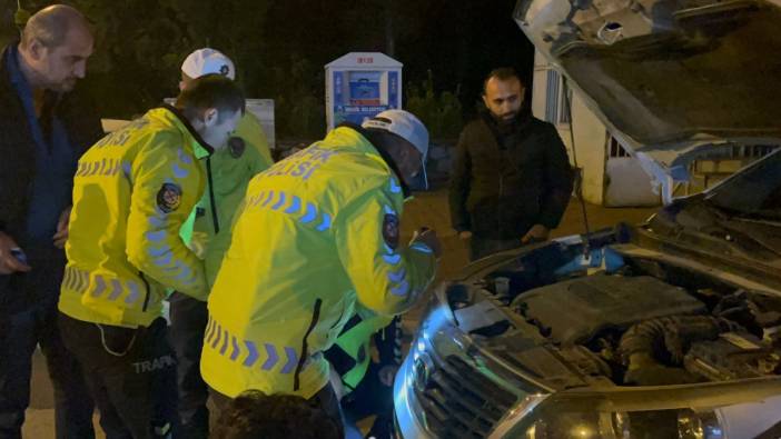 Polisin dikkati kediyi ölümden kurtardı