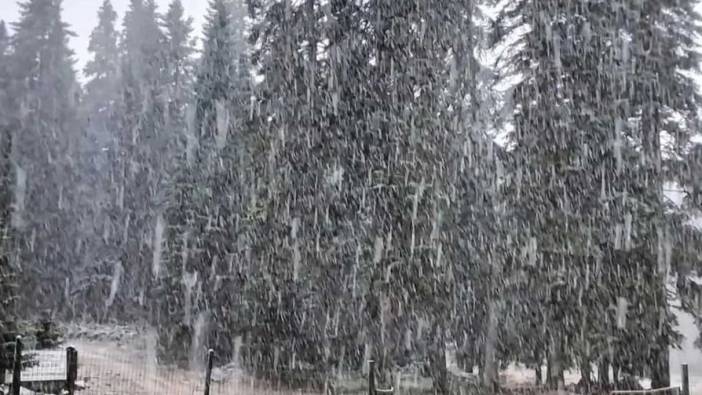 Bartın ve Zonguldak'ta mevsimin ilk kar yağışı başladı