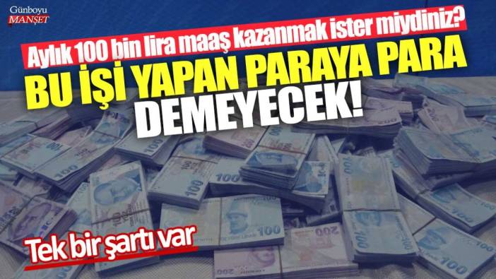 Aylık 100 bin lira maaş kazanmak ister miydiniz? Bu işi yapan paraya para demeyecek! Tek bir şartı var