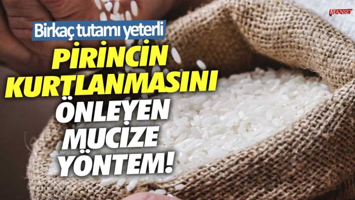 Pirincin kurtlanmasını önleyen mucize yöntem! Birkaç tutamı yeterli