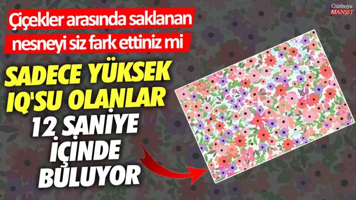 Sadece yüksek IQ'su olanlar 12 saniye içinde buluyor!  Çiçekler arasında saklanan nesneyi siz fark ettiniz mi