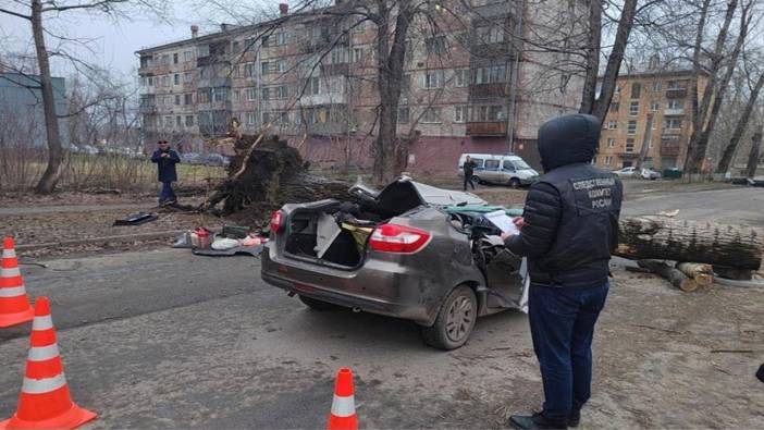 Hareket halindeki aracın üzerine ağaç devrildi: 2 ölü