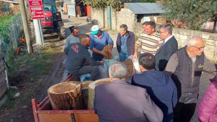 “Tarımda dünya markası Mustafakemalpaşa” sloganı gerçek oluyor