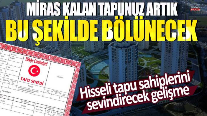 Hisseli tapu sahiplerini sevindirecek gelişme: Miras kalan tapunuz artık bu şekilde bölünecek