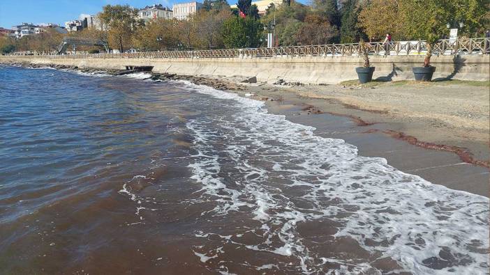 Tekirdağ'da sahili kızıl yosun bastı