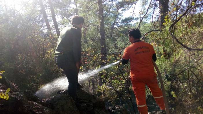 Antalya'da çıkan orman yangını kontrol altında