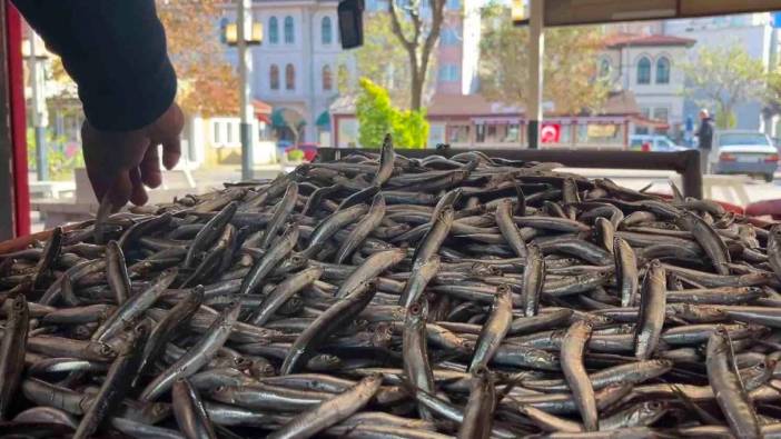 Kulağına kar suyu kaçan hamsiye yoğun talep