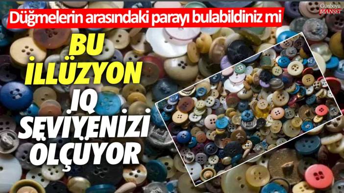 Bu illüzyon IQ seviyenizi ölçüyor! Düğmelerin arasındaki parayı bulabildiniz mi