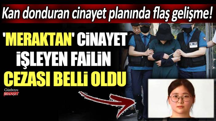 Kan donduran cinayet planında flaş gelişme: 'Meraktan' cinayet işleyen failin cezası belli oldu!