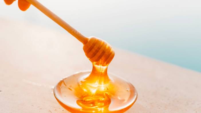 Doğu Karadeniz'den yapılan bal ihracatı yüzde 81 arttı