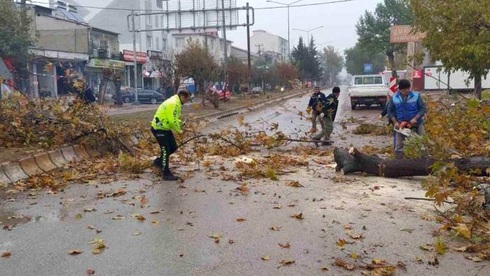 Rüzgar nedeniyle devrilmek üzere olan ağaç korkuttu