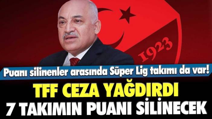 TFF'den 7 kulübe puan silme cezası! İçlerinde Süper Lig'den o takım da var...