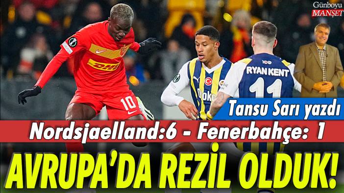 Avrupa'da rezil olduk! Tansu Sarı yazdı...