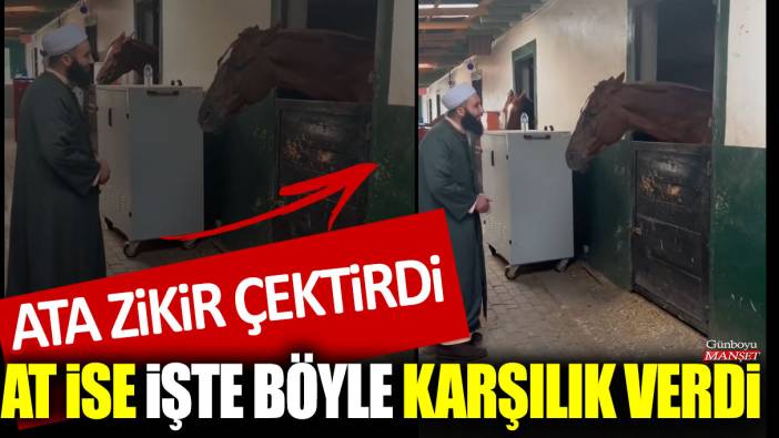 Ata zikir çektirdi: At ise işte böyle karşılık verdi!