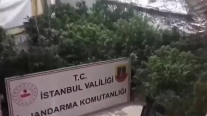 Uyuşturucu serasına çevirmişlerdi: Eyüpsultan’da villaya baskın