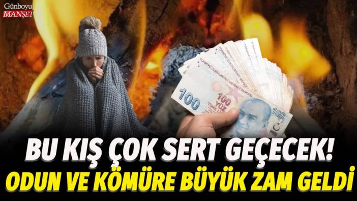 Bu kış çok sert geçecek! Odun ve kömüre büyük zam geldi