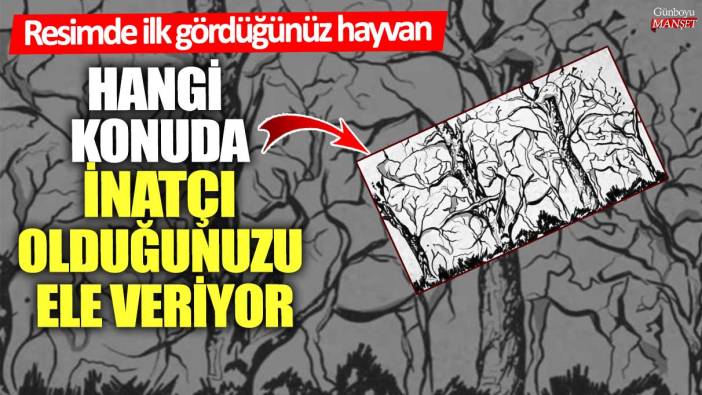 Resimde ilk gördüğünüz hayvan hangi konuda inatçı olduğunuzu ele veriyor! Bakalım siz hangi konuda inatçısınız