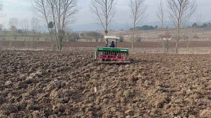 Buğdayların atası 12 bin yıllık siyez, toprakla buluştu