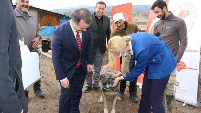 Tehlike büyük! Bu hastalık köpeklerden insana bulaşıyor