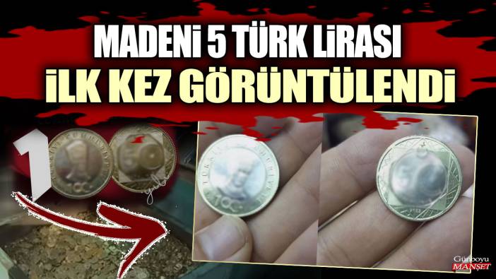 Madeni 5 Türk Lirası ilk kez görüntülendi