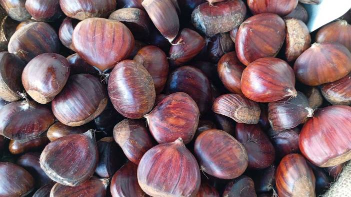 Kestanenin tane satış fiyatı pes dedirtti! Bu kadar olur mu?
