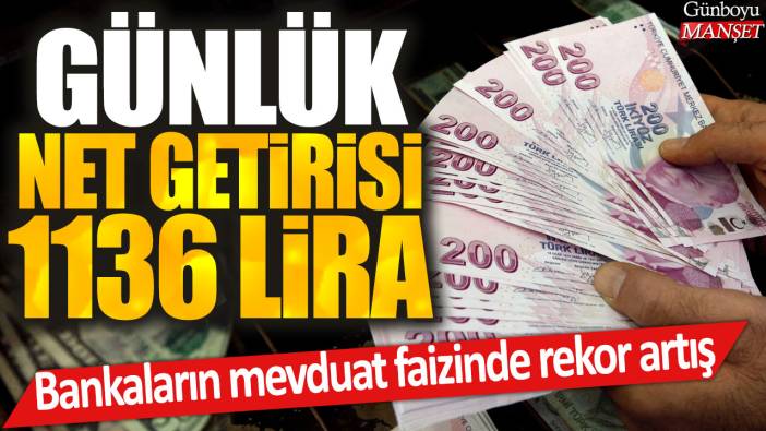 Günlük net getirisi 1136 lira: Bankaların mevduat faizinde rekor artış